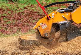 Best Lawn Disease Treatment  in Lexington Park, MD